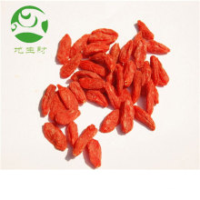 Retrasar la edad saludable nutrición de las bayas de goji